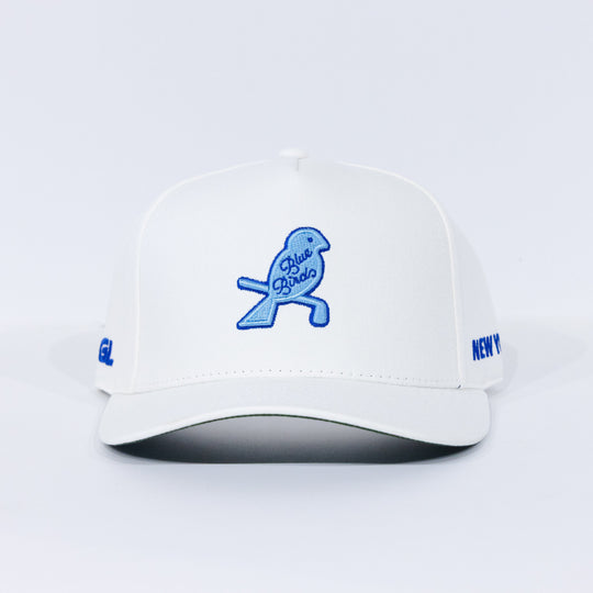 The New York Blue Birds Snapback