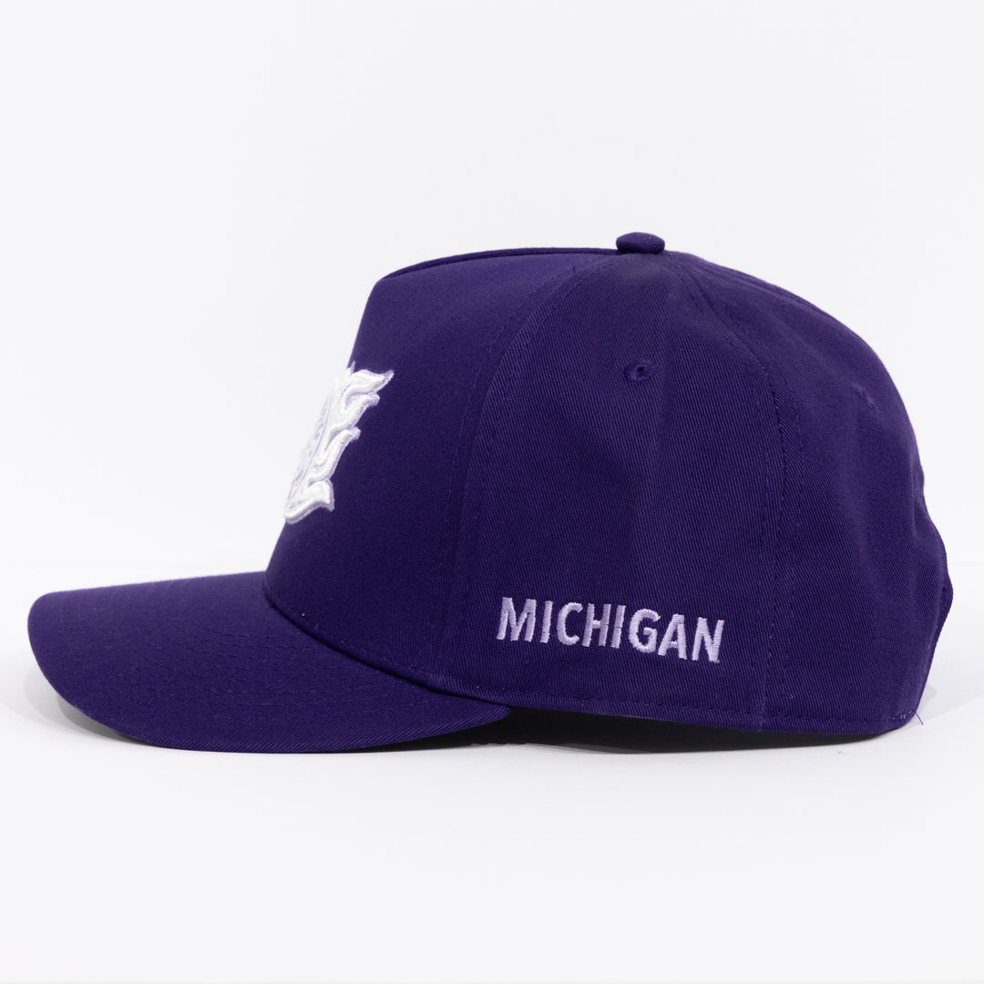Michigan Auto Aces Snapback