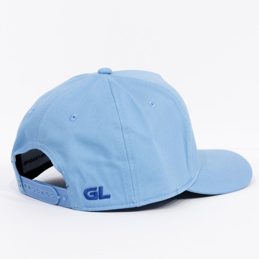 New York Blue Birds Snapback