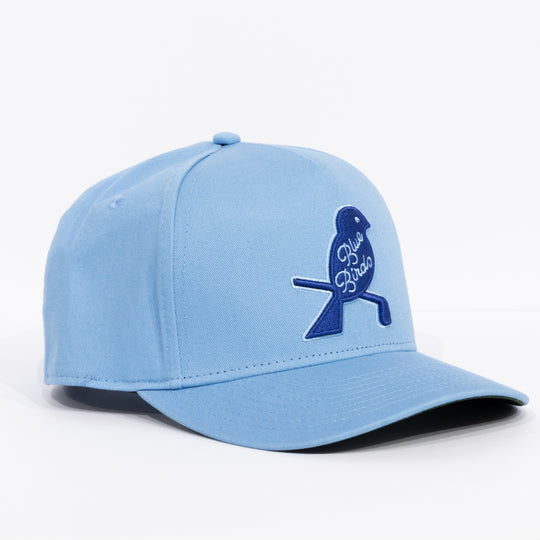 New York Blue Birds Snapback