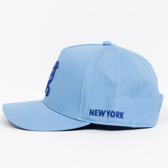 New York Blue Birds Snapback