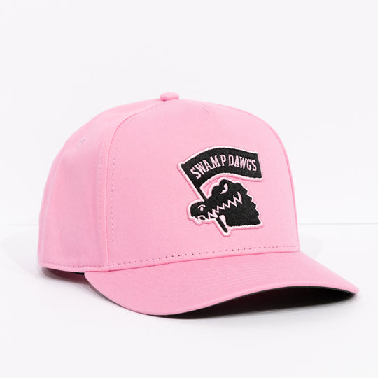Tampa Bay Swamp Dawgs Snapback
