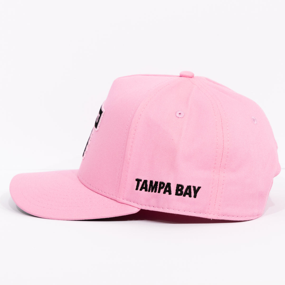 Tampa Bay Swamp Dawgs Snapback